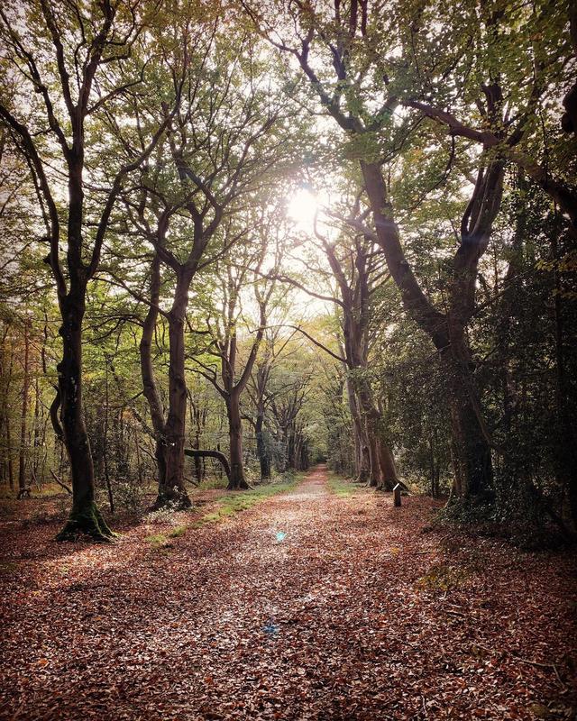 • Jolies couleurs d’automne pour se ressourcer •