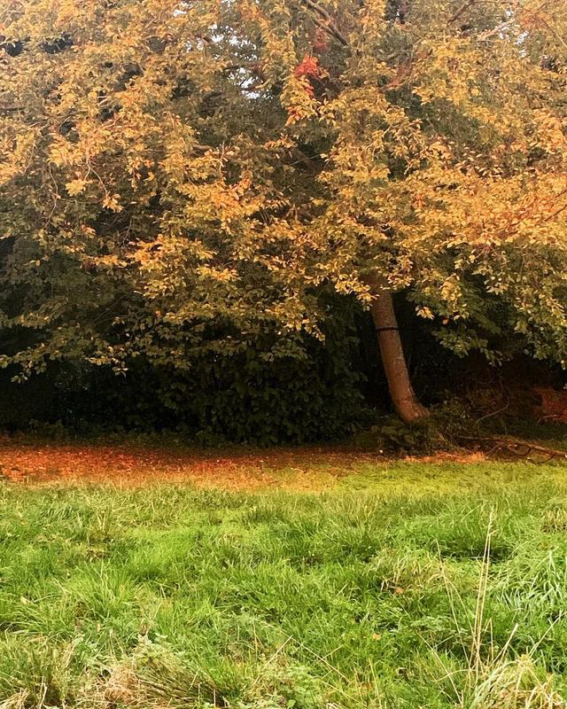 • Jolies couleurs d’automne pour se ressourcer •