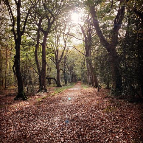 • Jolies couleurs d’automne pour se ressourcer •
