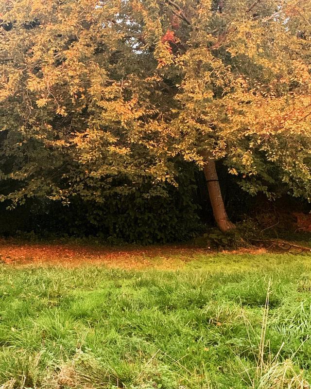 • Jolies couleurs d’automne pour se ressourcer •