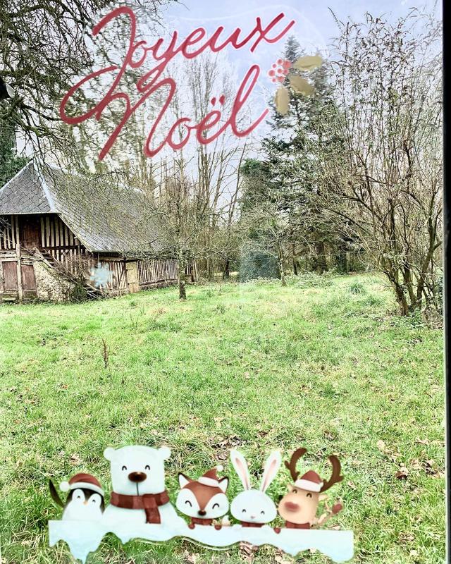 • Joyeux Noël •