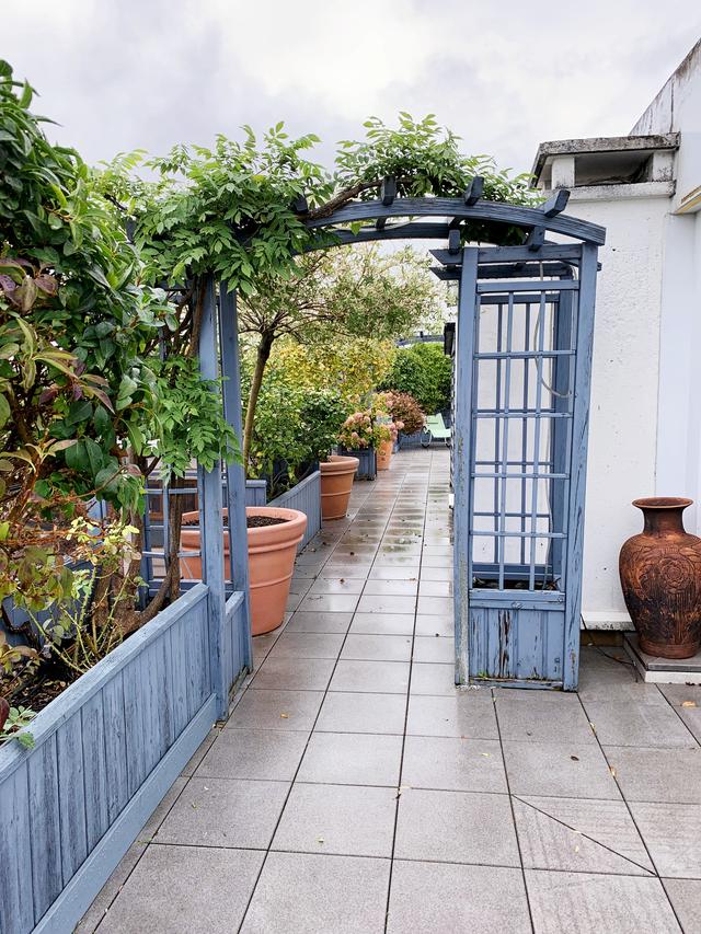 Terrasse aménagée et arborée Terrasse aménagée et arborée