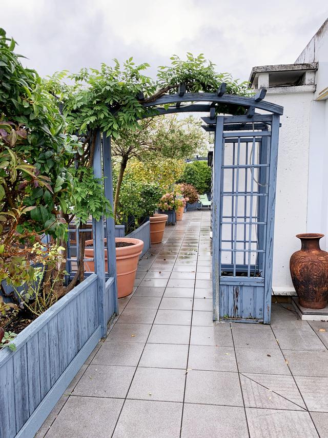 Terrasse aménagée et arborée