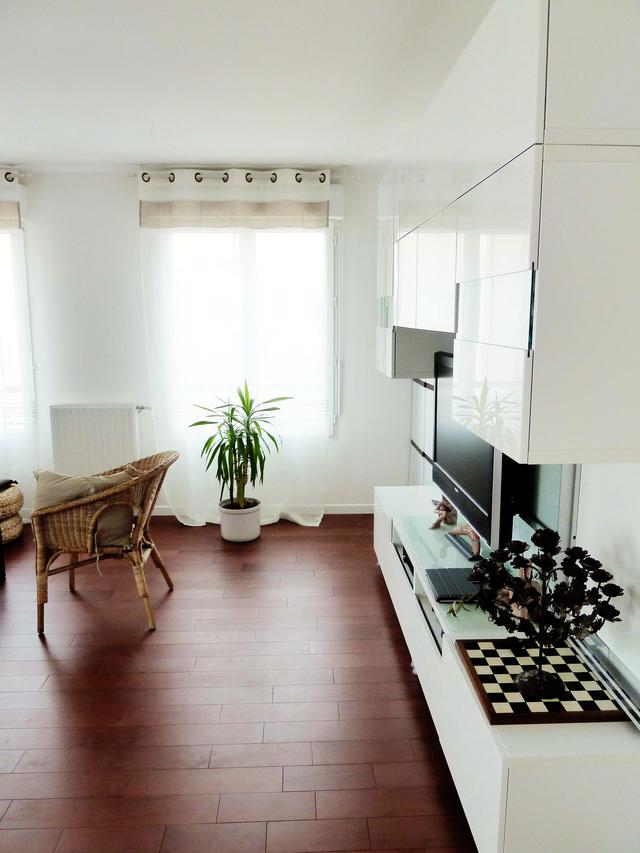 Le parquet foncé en bois exotique rend la pièce plus chaleureuse